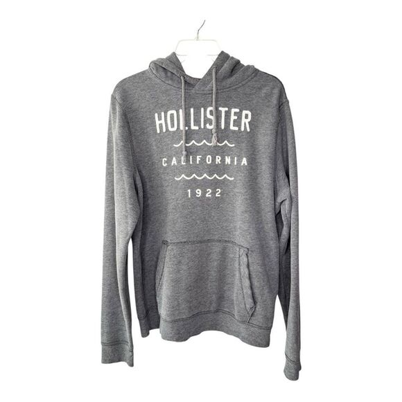 Hollister Women’s L Graphic Logo Hoodie - Picture 1 of 4
